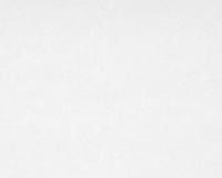 купить A.S.Creation Meistervlies 4 2000-13