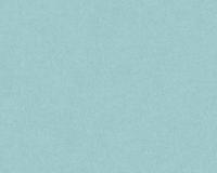 купить A.S.Creation Colibri 36628-5