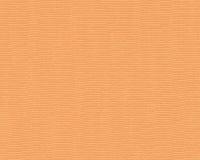 купить A.S.Creation Esprit 13 35710-3