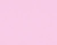 купить A.S.Creation Meistervlies 5 3095-63