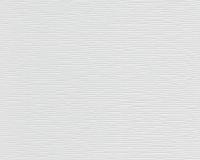 купить A.S.Creation Meistervlies Protect 2 248114