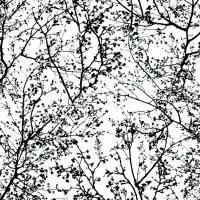 купить P+S International Graphics Alive 13264-70