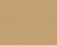 купить A.S.Creation Sunrise 923752