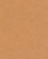 купить Rasch Modern Surfaces 831788