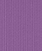 купить Rasch Chorus Line 2014 469301