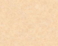 купить A.S.Creation Meistervlies 5 96005-6