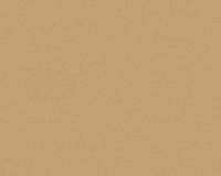 купить AS Creation Sunrise 923752