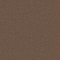 купить P+S International Spotlight 2 02523-40 купить P+S International Spotlight 2 02523-40