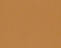 купить A.S.Creation Trends Home 1 938385