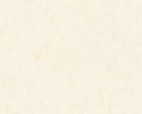 купить A.S.Creation Kind of white 34079-6