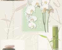 купить A.S.Creation Simply Decor 8771-16