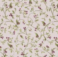 купить Rasch Maximum XII 927023