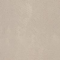 купить Rasch African Queen 2 423624_2