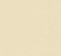 купить A.S.Creation Valdo 34211-2