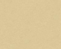 купить A.S.Creation Kaja 917041