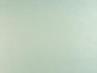 купить Calcutta Grace 312026 купить Calcutta Grace 312026