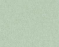 купить A.S.Creation Geo Nordic 37535-9