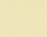 купить A.S.Creation Schoner Wohnen 9 32457-2