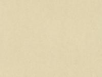 купить A.S.Creation Vernissage 909626