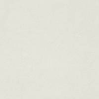 купить Rasch Fiducia 424263