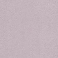 купить Rasch Home Vision 6 433739