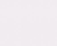 купить A.S.Creation Esprit 12 93619-8