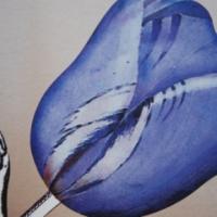 купить Marburg Ulf Moritz Charisma 78781