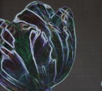 купить Marburg Ulf Moritz Charisma 78787