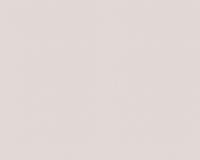 купить A.S.Creation Contzen 3 881526