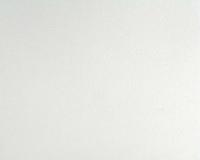 купить A.S.Creation Meistervlies Pro 2 169112