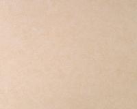 купить A.S.Creation Styleguide Natuerlich 929921