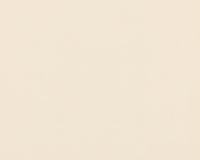 купить A.S.Creation Evelin 298515