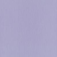 купить P+S International Timeless 2015 13178-40