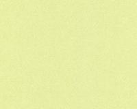 купить A.S.Creation MV meets XXL 715630