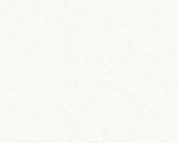 купить A.S.Creation Esprit 6 221520