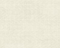 купить A.S.Creation Ethnic Origin 371742