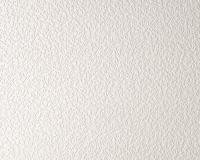 купить A.S.Creation Simply White 641618