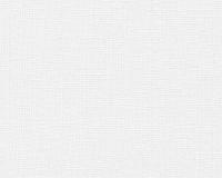 купить A.S.Creation Maistervlies 2020 95345-1