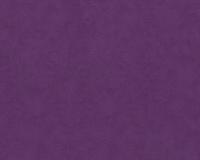 купить A.S.Creation Felicia 937022