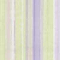 купить P+S International 4ever 02330-60