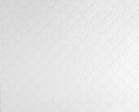 купить A.S.Creation Meistervlies Pro 2 528117