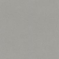 купить Rasch Crispy Paper 527025