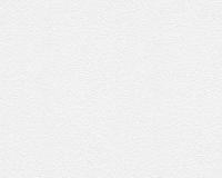 купить A.S.Creation Meistervlies Protect 2 245816