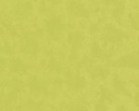 купить A.S.Creation Caroline 840875