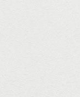 купить Rasch Wallton 2021 166101 (166118)