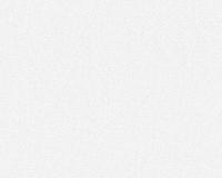 купить A.S.Creation Maistervlies 2020 95249-1