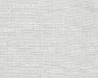 купить A.S.Creation Maistervlies 2020 57461-9