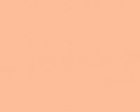 купить A.S.Creation Esprit 12 32766-2