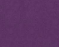 купить AS Creation Felicia 93702-2