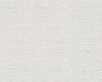 купить A.S.Creation Maistervlies 2020 57431-2